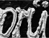 Typographie Experiment mit Spr&uuml;hsahne