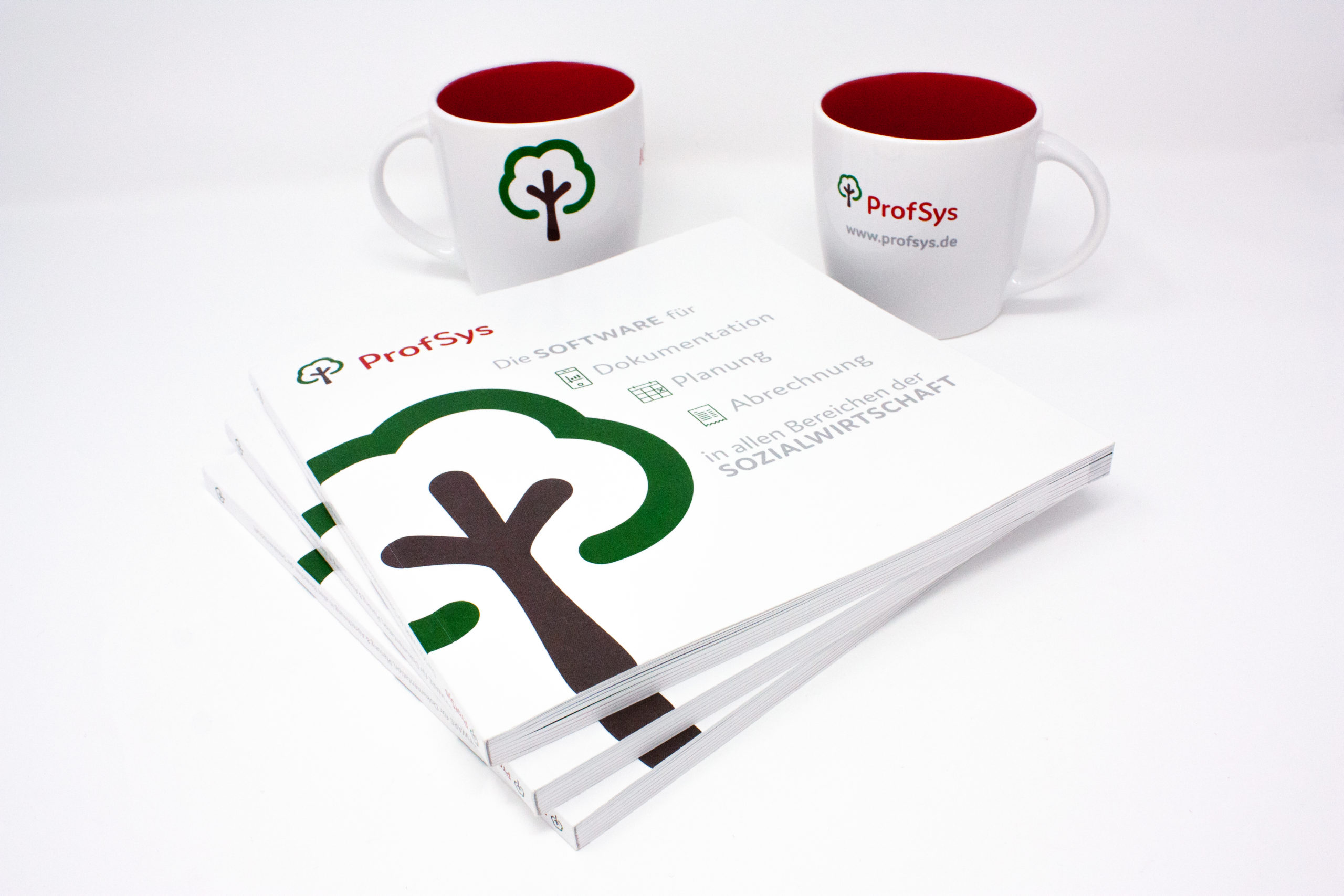 FORMLOS-ProfSys-Print-Broschüre-Corporate-Design-1 FORMLOS-ProfSys-Print-Broschüre-Corporate-Design-1