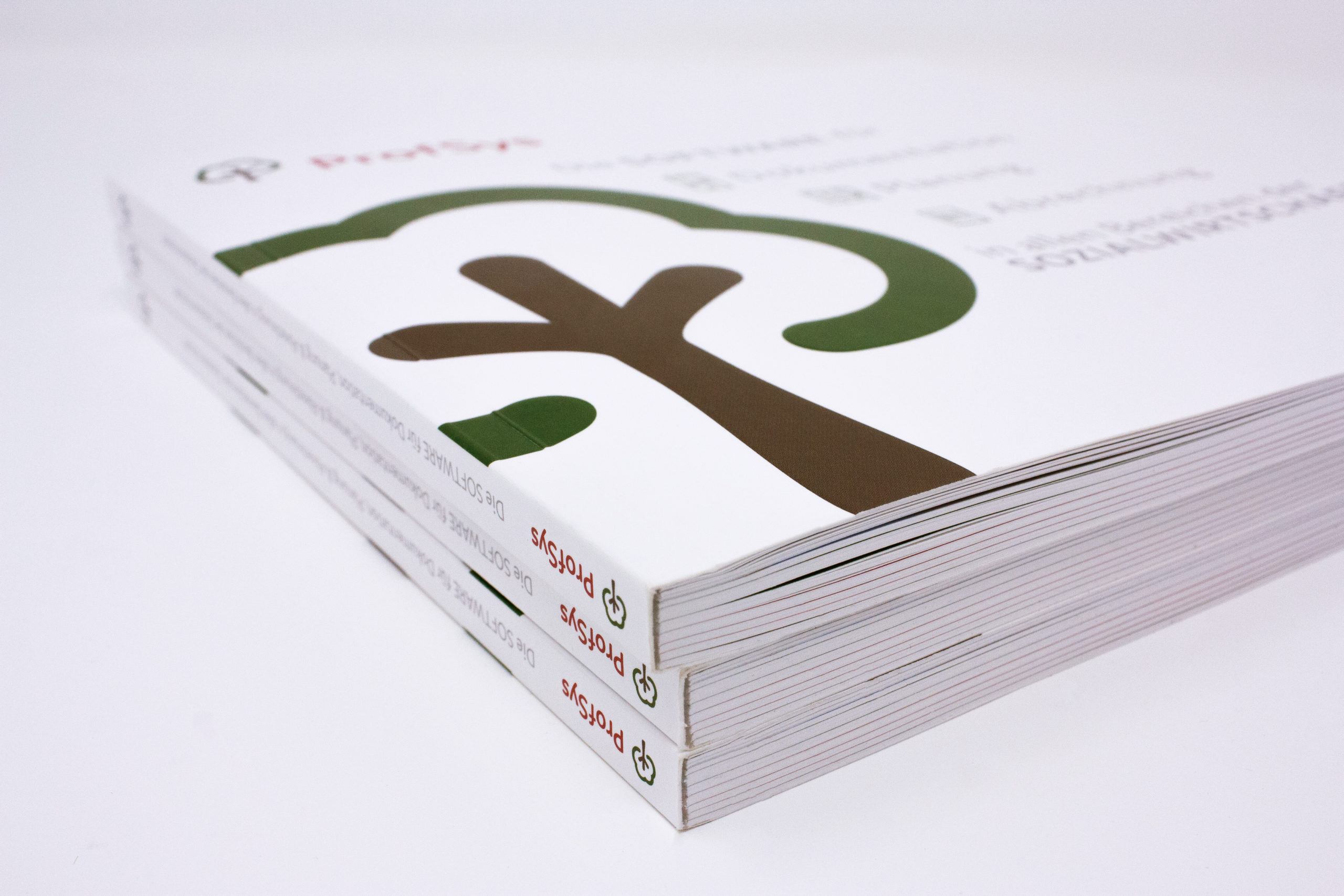 FORMLOS-ProfSys-Print-Broschüre-Corporate-Design-3 FORMLOS-ProfSys-Print-Broschüre-Corporate-Design-3