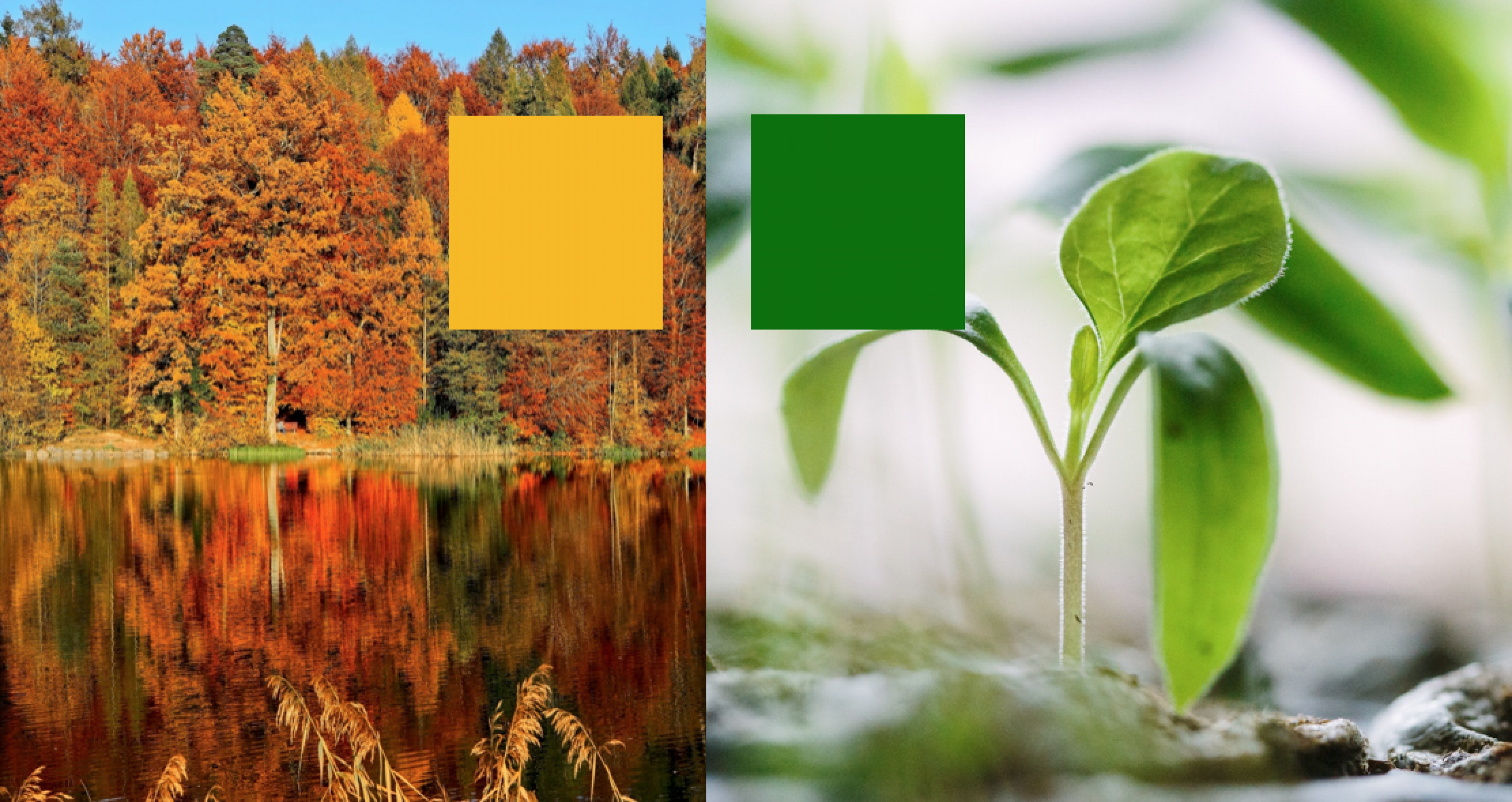 enagrat_Farben2 enagrat_Farben2