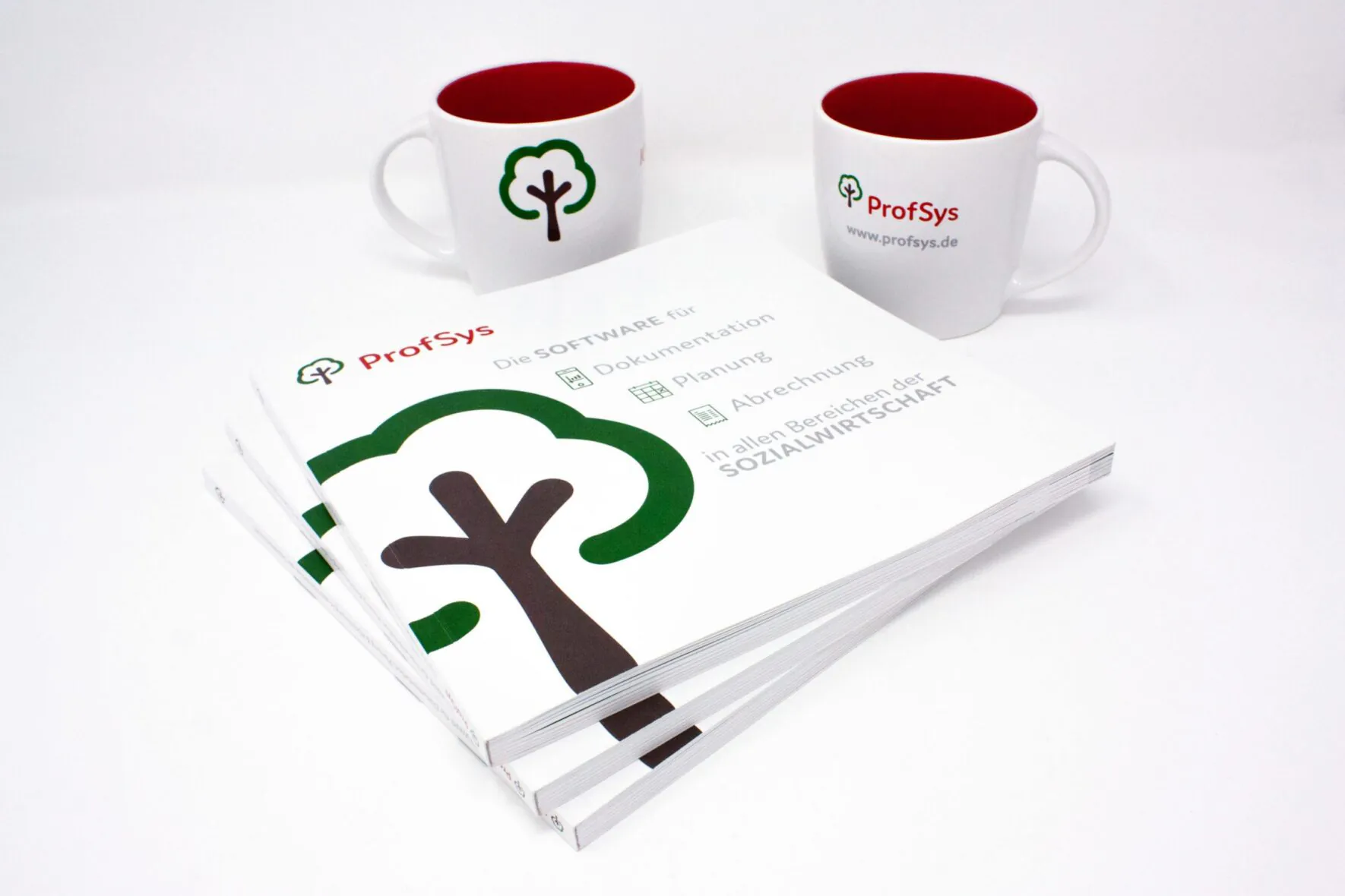 FORMLOS-ProfSys-Print-Broschüre-Corporate-Design-1