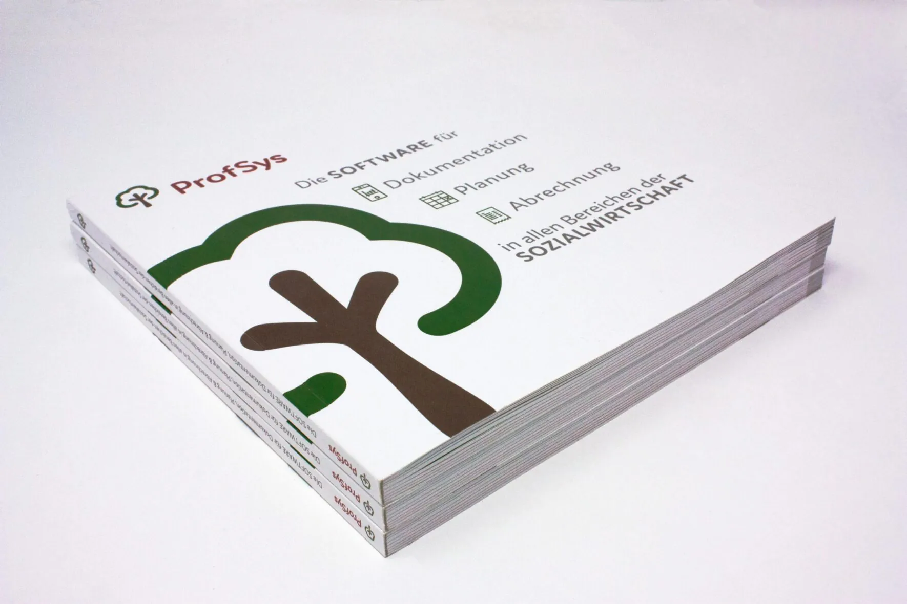 FORMLOS-ProfSys-Print-Broschüre-Corporate-Design-2