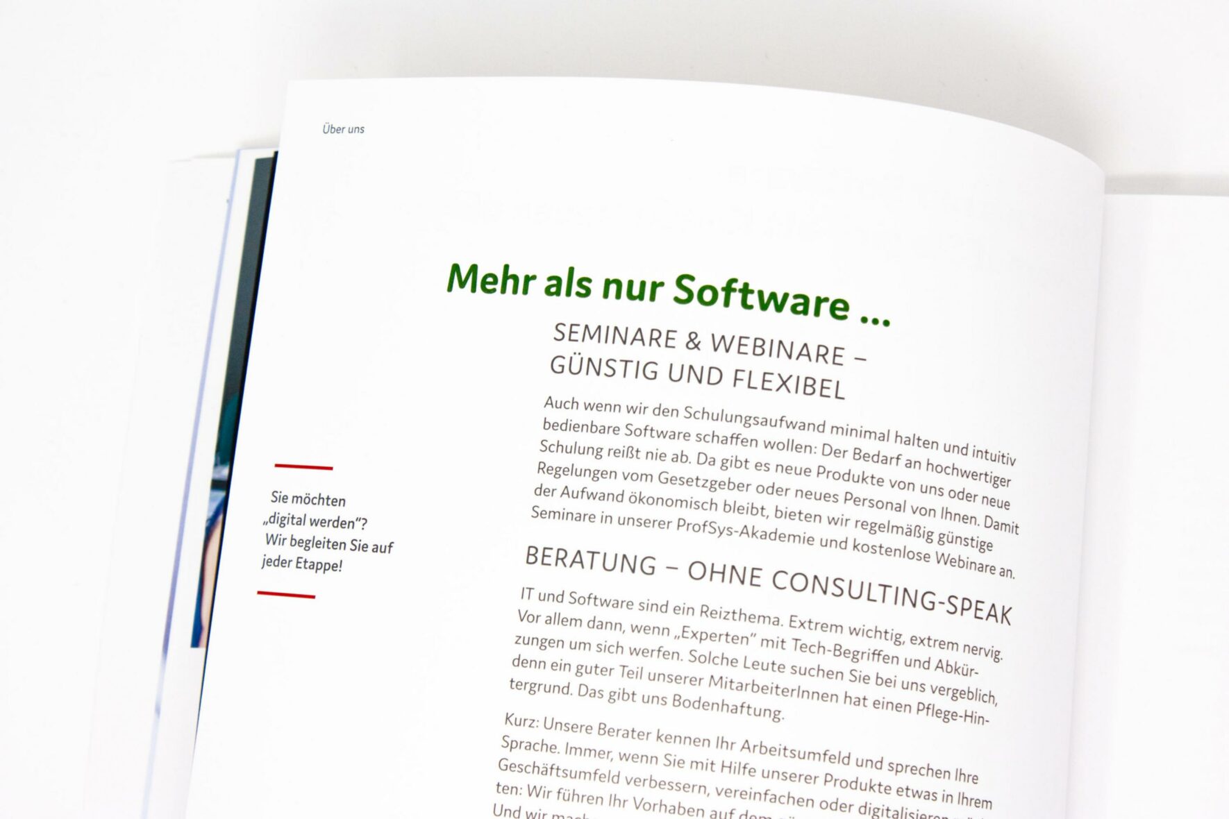 FORMLOS-ProfSys-Print-Broschüre-Corporate-Design-Layout-1