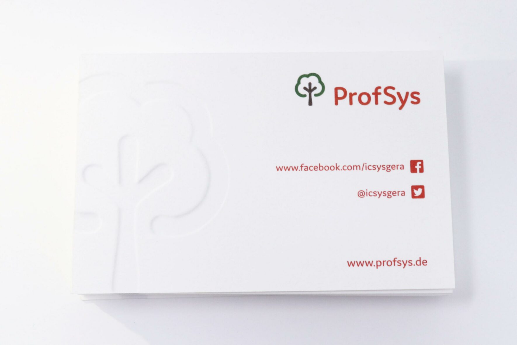 ReBranding-ProfSys-Corporate-Design-Visitenkarte-3