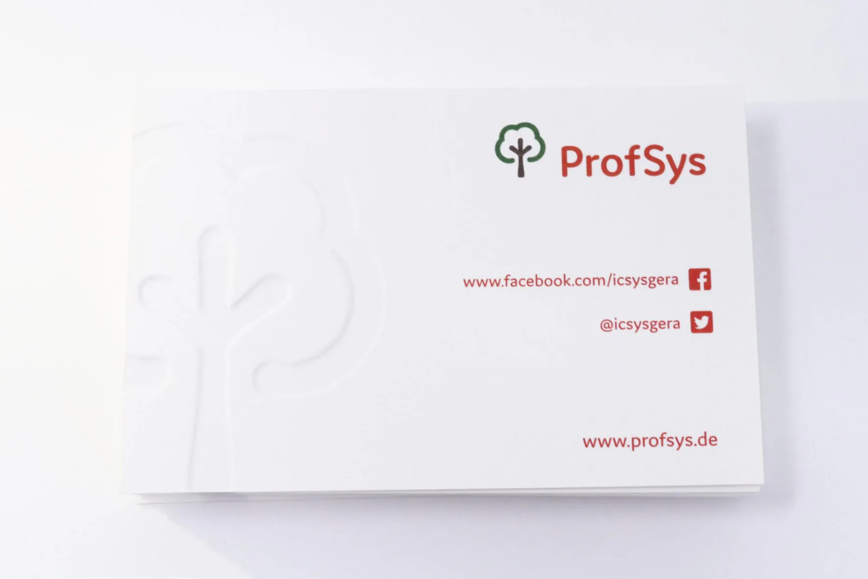 ReBranding-ProfSys-Corporate-Design-Visitenkarte-3