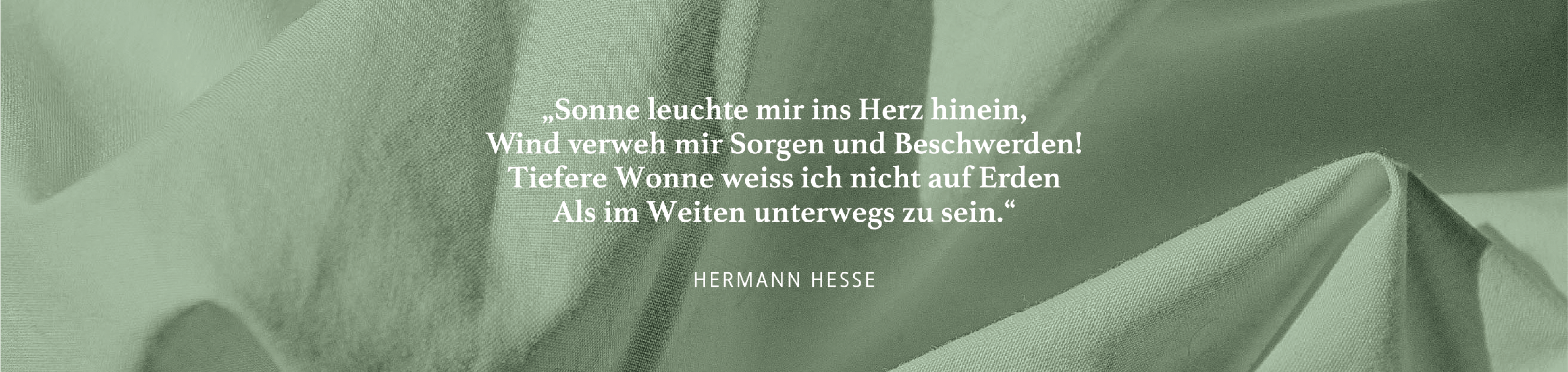 Zitat-Bauchgefuehl Zitat-Bauchgefuehl